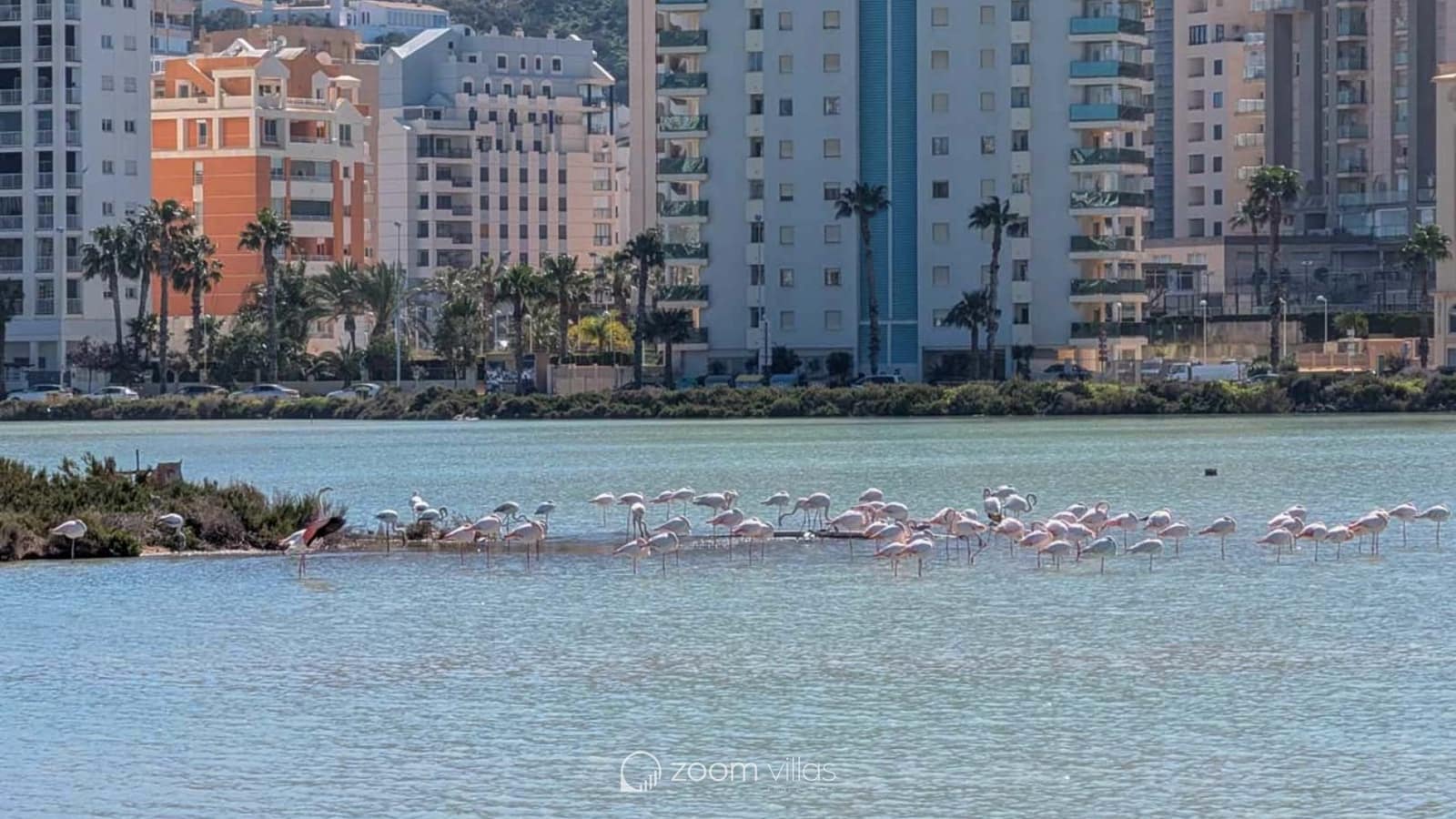 3 slaapkamer Villa te koop in Calpe / Calp met zwembad - € 799.000 (Ref: 9730728)