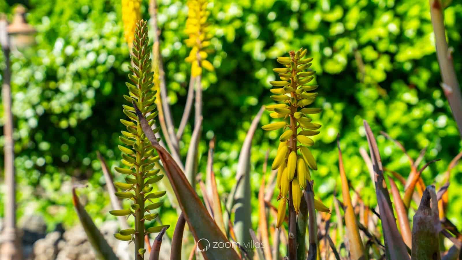 4 sypialnia Willa na sprzedaż w Javea / Xabia z basenem - 895 000 € (Ref: 9788722)