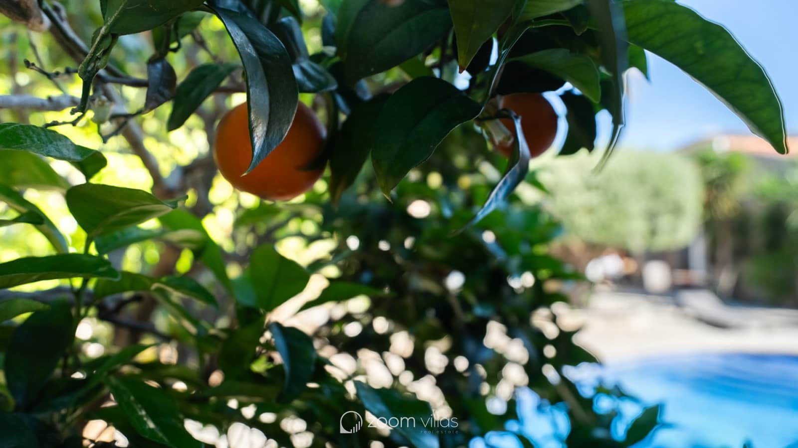 4 sypialnia Willa na sprzedaż w Javea / Xabia z basenem - 895 000 € (Ref: 9788722)