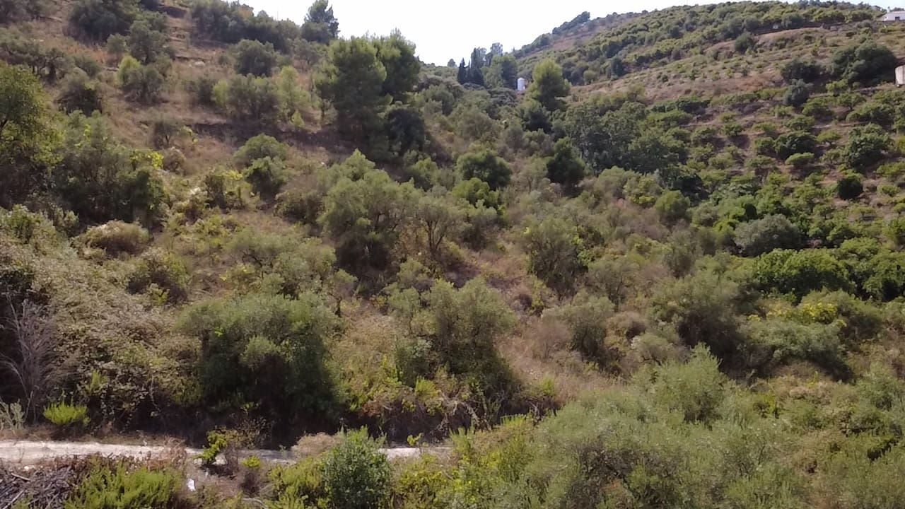 Finca/Casa Rural de 1 habitación en Torrox en venta - 95.000 € (Ref: 10055650)