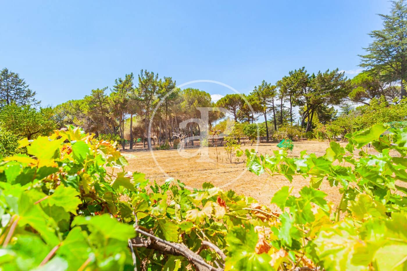 Undeveloped Land for sale in Galapagar - € 3,800,000 (Ref: 10044868)