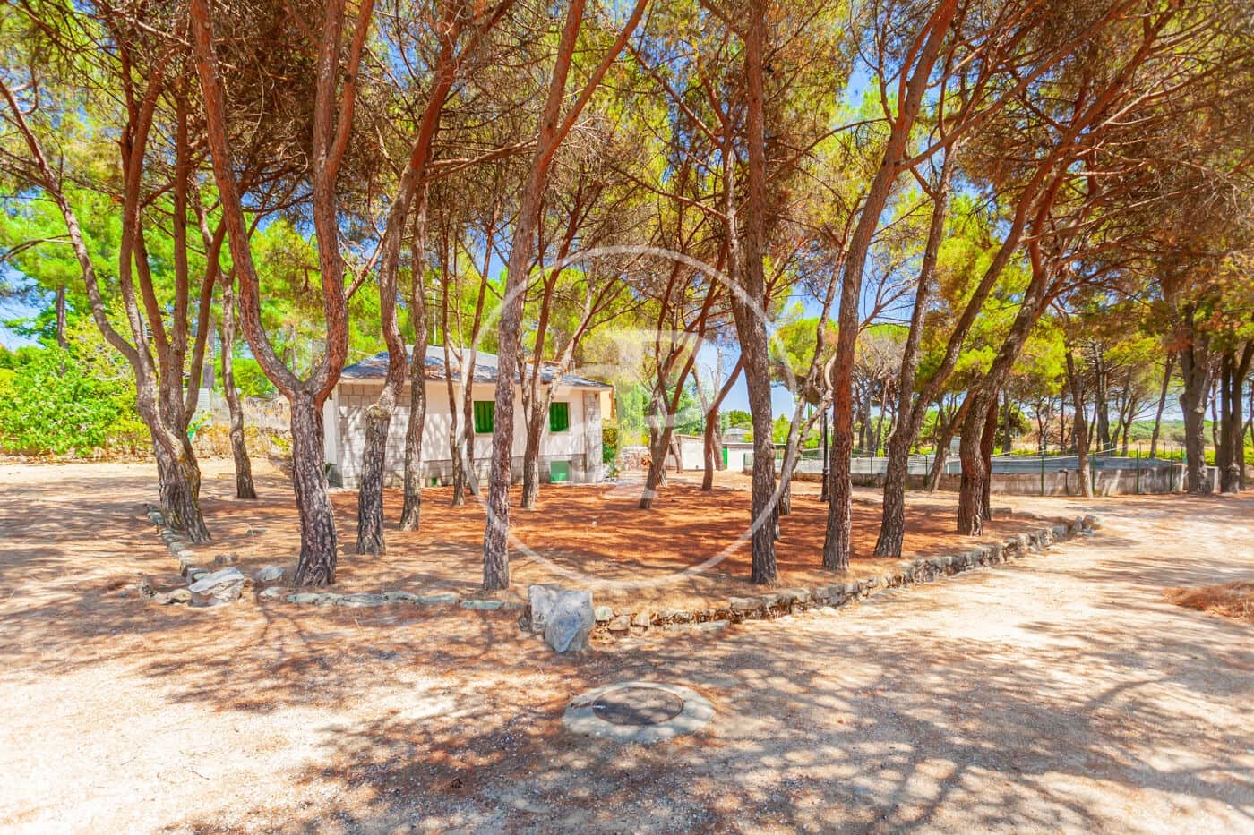 Undeveloped Land for sale in Galapagar - € 3,800,000 (Ref: 10044868)