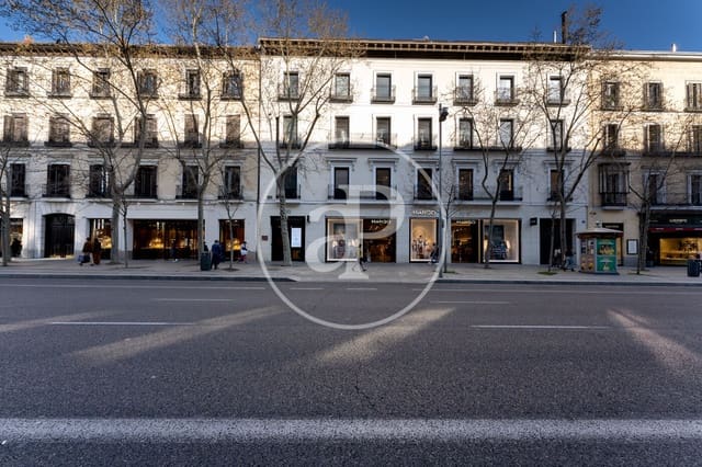 Apartamento de 3 habitaciones en Recoletos, Madrid ciudad en alquiler - 6.500 € (Ref: 10078188)
