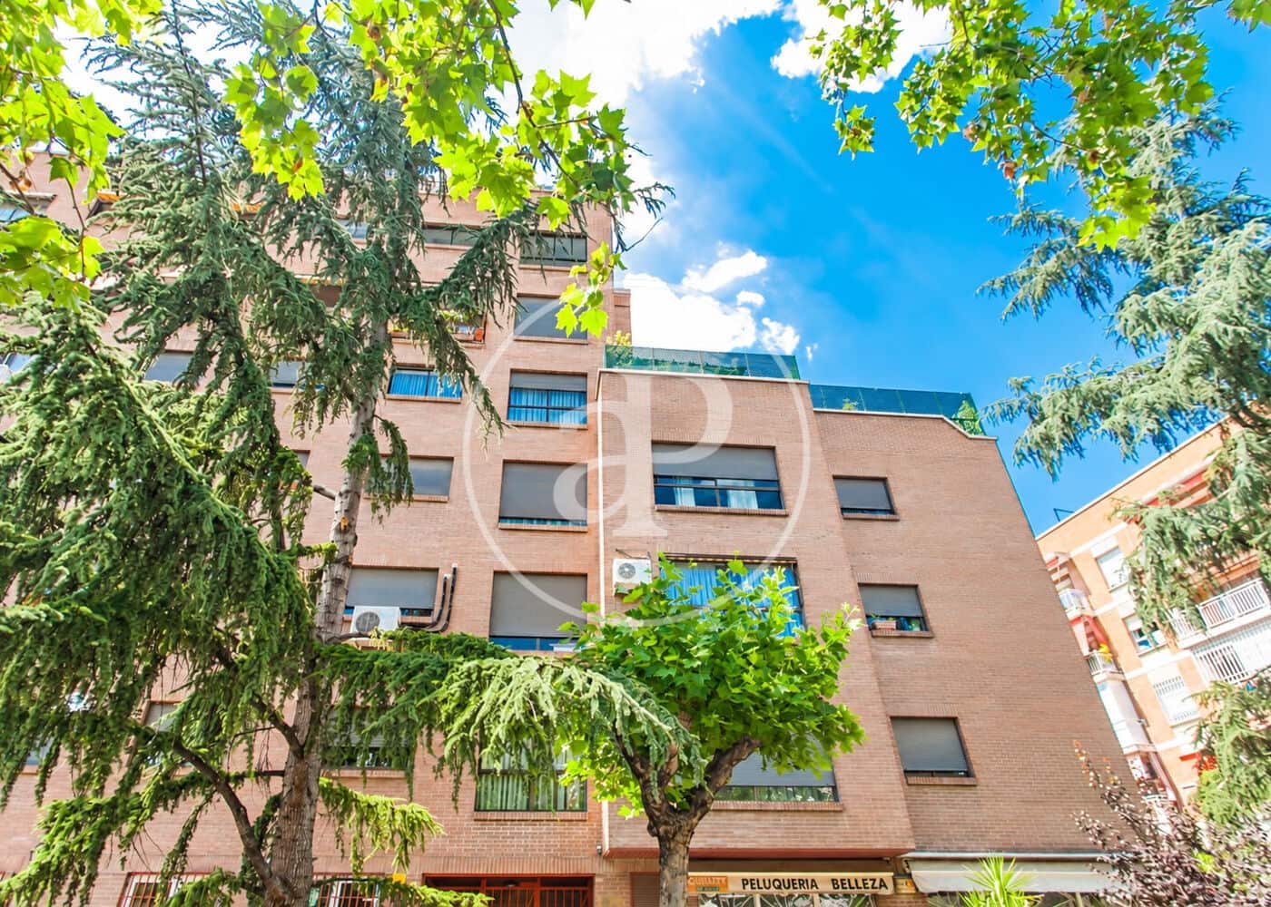 Apartamento de 3 habitaciones en Madrid ciudad en alquiler con piscina garaje - 3.500 € (Ref: 10102490)