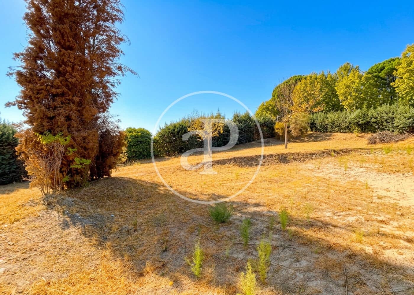 Undeveloped Land for sale in San Sebastian de los Reyes - € 1,200,000 (Ref: 10115671)