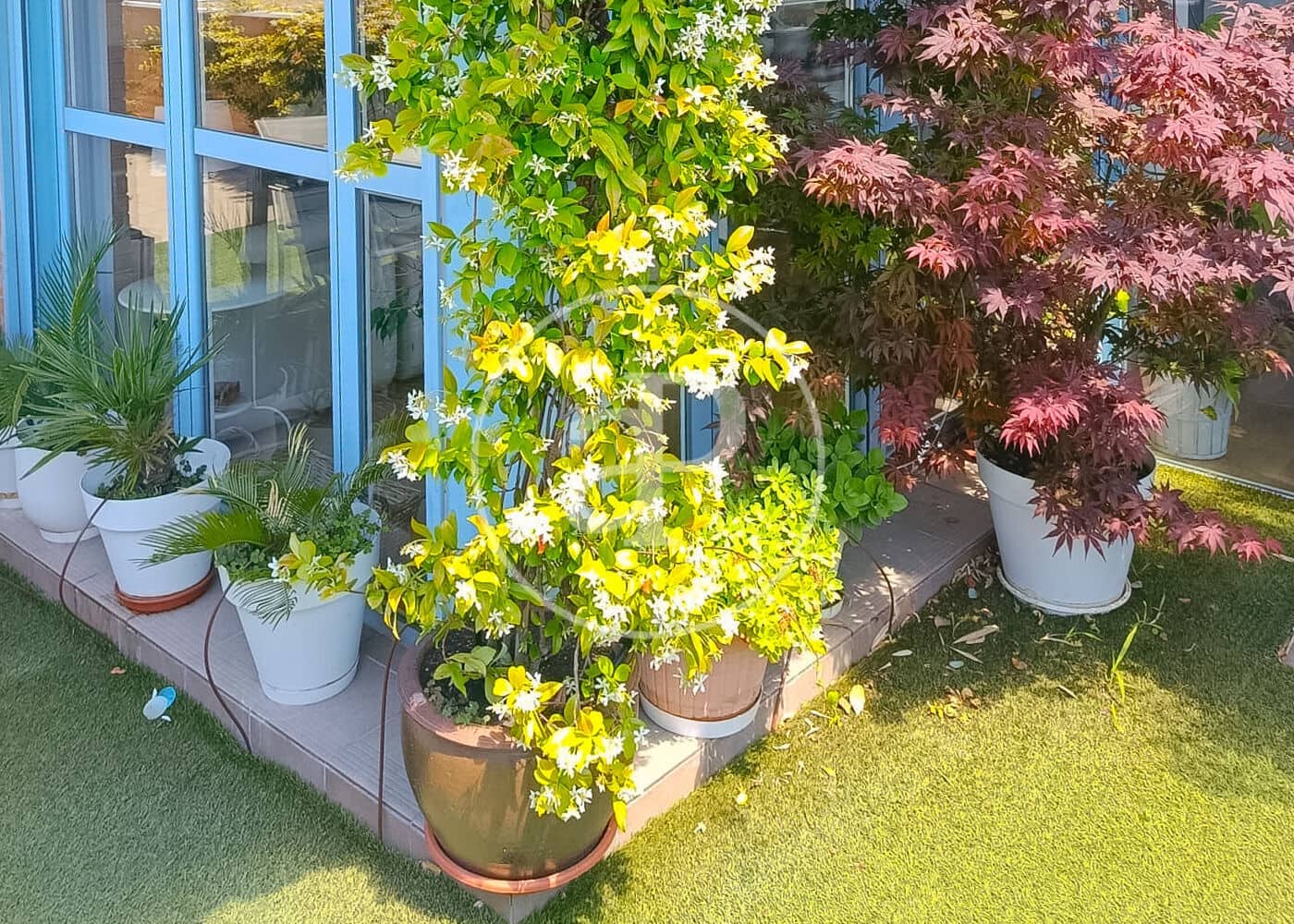 5 bedroom Penthouse for sale in San Sebastian de los Reyes with pool garage - € 1,190,000 (Ref: 10129337)