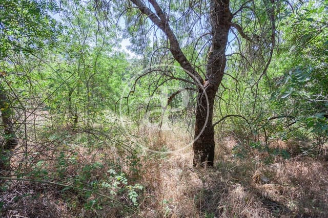 Ubebygd land til salgs i Cercedilla - € 214 000 (Ref: 7913168)
