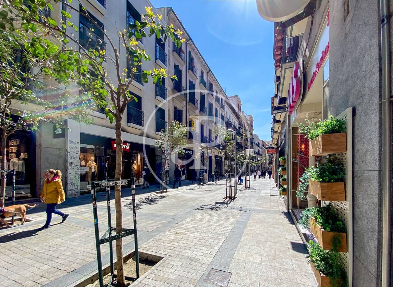 5 soveværelse Lejlighed til salg i Madrid by - € 4.200.000 (Ref: 8172130)