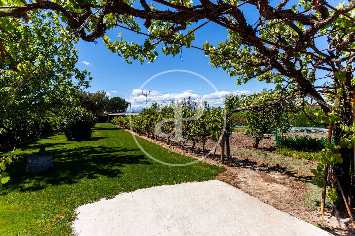 5 soveværelse Villa til salg i Fuente el Saz de Jarama med swimmingpool - € 1.350.000 (Ref: 8174225)