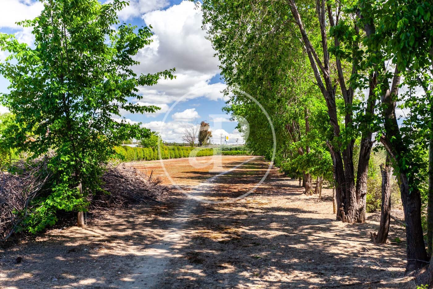 5 soveværelse Villa til salg i Fuente el Saz de Jarama med swimmingpool - € 1.350.000 (Ref: 8174225)