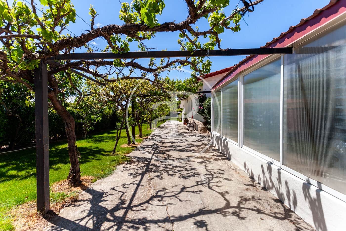 5 soveværelse Villa til salg i Fuente el Saz de Jarama med swimmingpool - € 1.350.000 (Ref: 8174225)