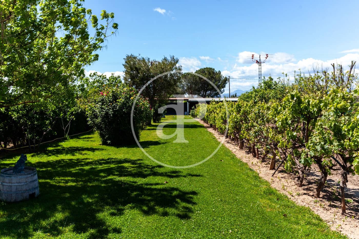 5 soveværelse Villa til salg i Fuente el Saz de Jarama med swimmingpool - € 1.350.000 (Ref: 8174225)