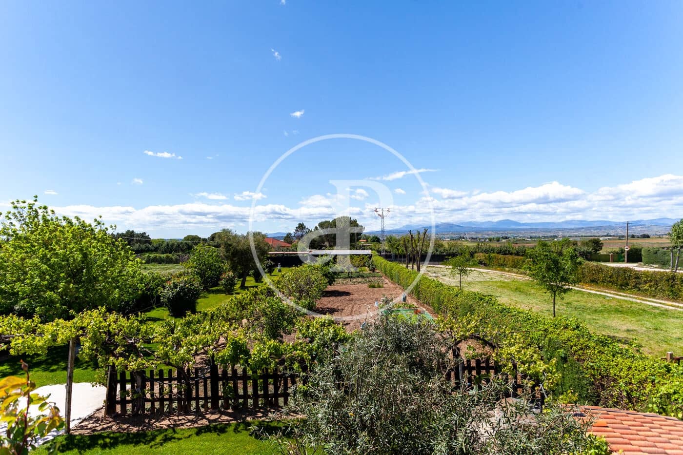 5 soveværelse Villa til salg i Fuente el Saz de Jarama med swimmingpool - € 1.350.000 (Ref: 8174225)