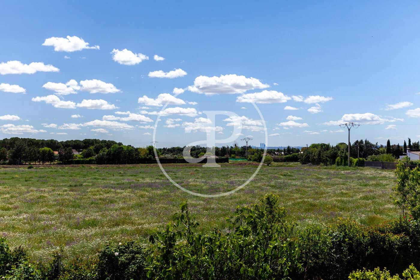 5 soveværelse Villa til salg i Fuente el Saz de Jarama med swimmingpool - € 1.350.000 (Ref: 8174225)