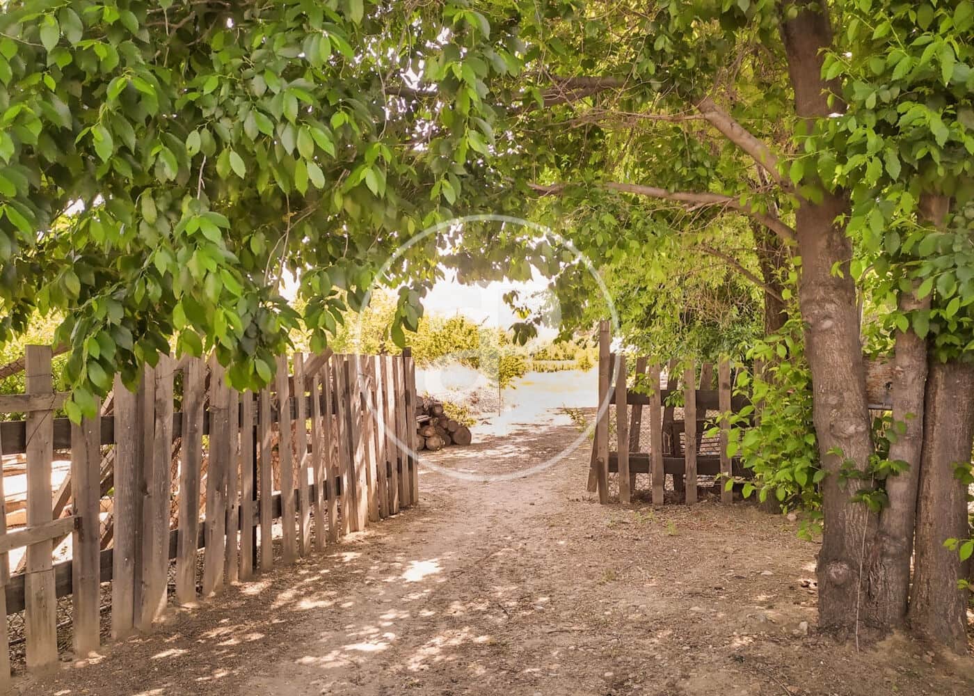 5 soveværelse Villa til salg i Fuente el Saz de Jarama med swimmingpool - € 1.350.000 (Ref: 8174225)