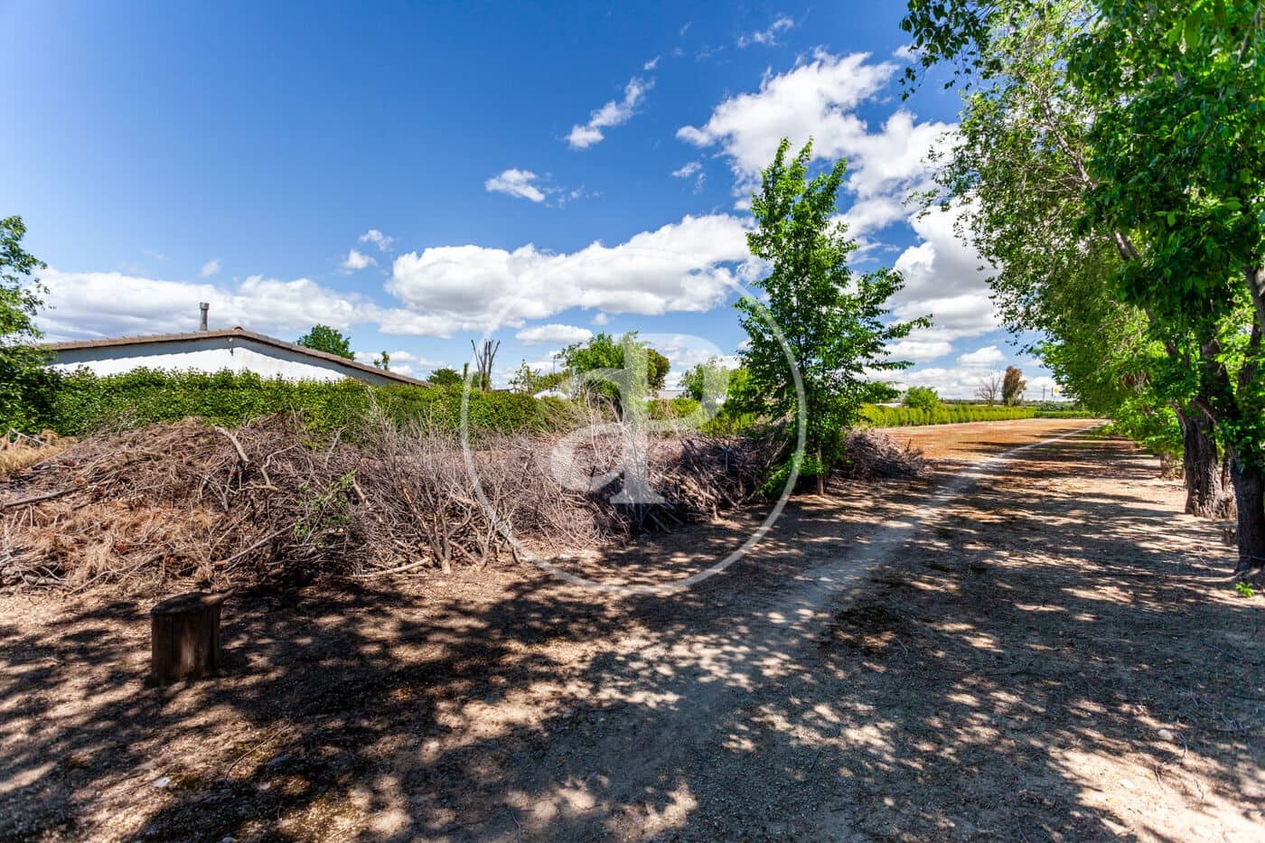 5 soveværelse Villa til salg i Fuente el Saz de Jarama med swimmingpool - € 1.350.000 (Ref: 8174225)