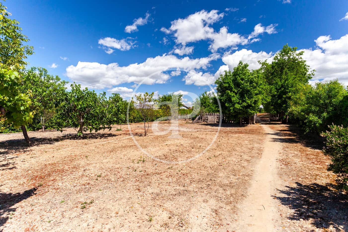 5 soveværelse Villa til salg i Fuente el Saz de Jarama med swimmingpool - € 1.350.000 (Ref: 8174225)