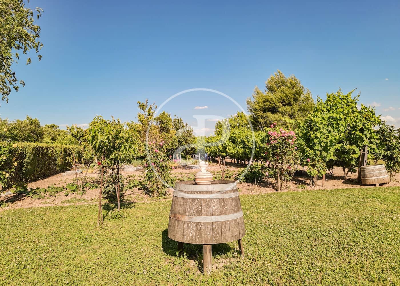 5 soveværelse Villa til salg i Fuente el Saz de Jarama med swimmingpool - € 1.350.000 (Ref: 8174225)