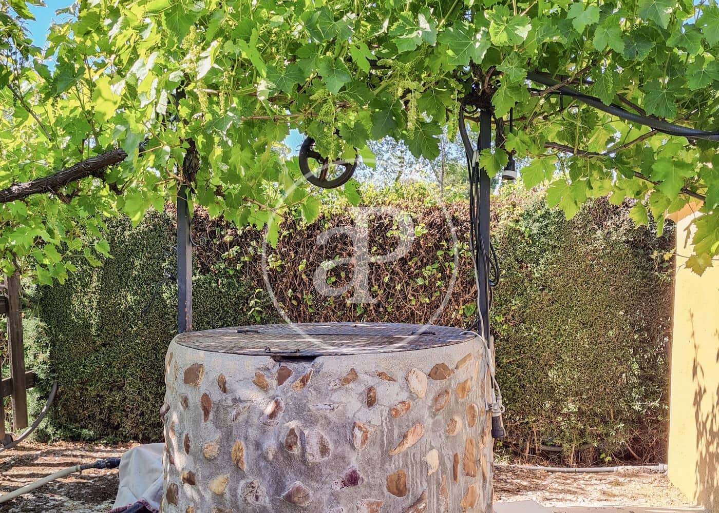 5 soveværelse Villa til salg i Fuente el Saz de Jarama med swimmingpool - € 1.350.000 (Ref: 8174225)