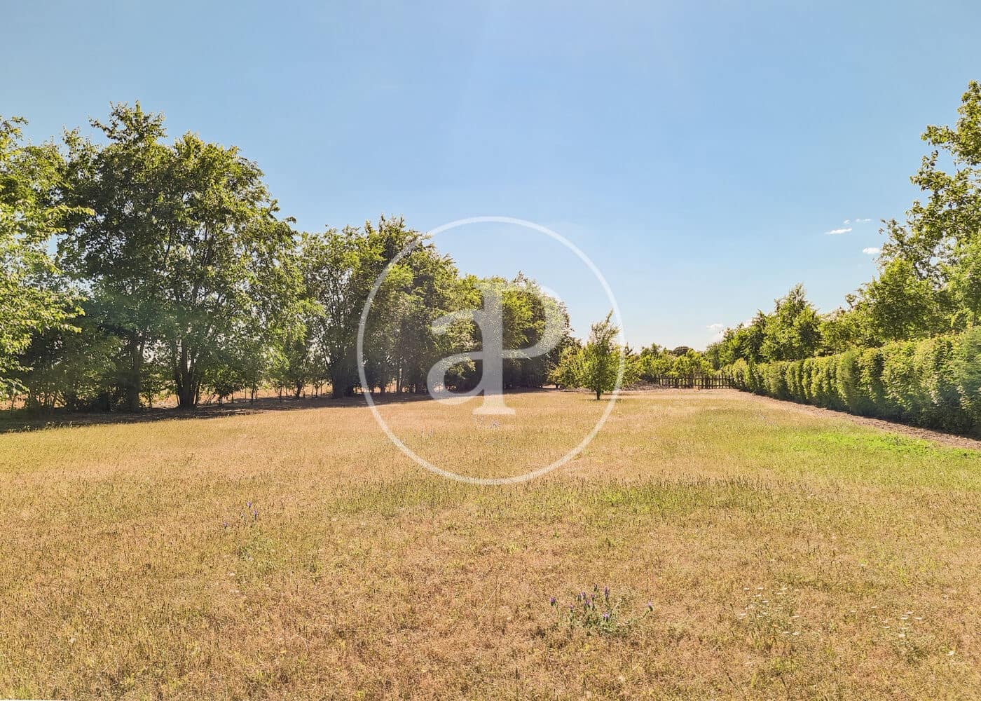 5 soveværelse Villa til salg i Fuente el Saz de Jarama med swimmingpool - € 1.350.000 (Ref: 8174225)