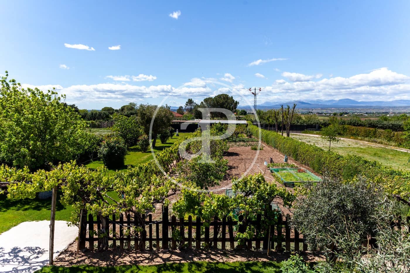 5 soveværelse Villa til salg i Fuente el Saz de Jarama med swimmingpool - € 1.350.000 (Ref: 8174225)