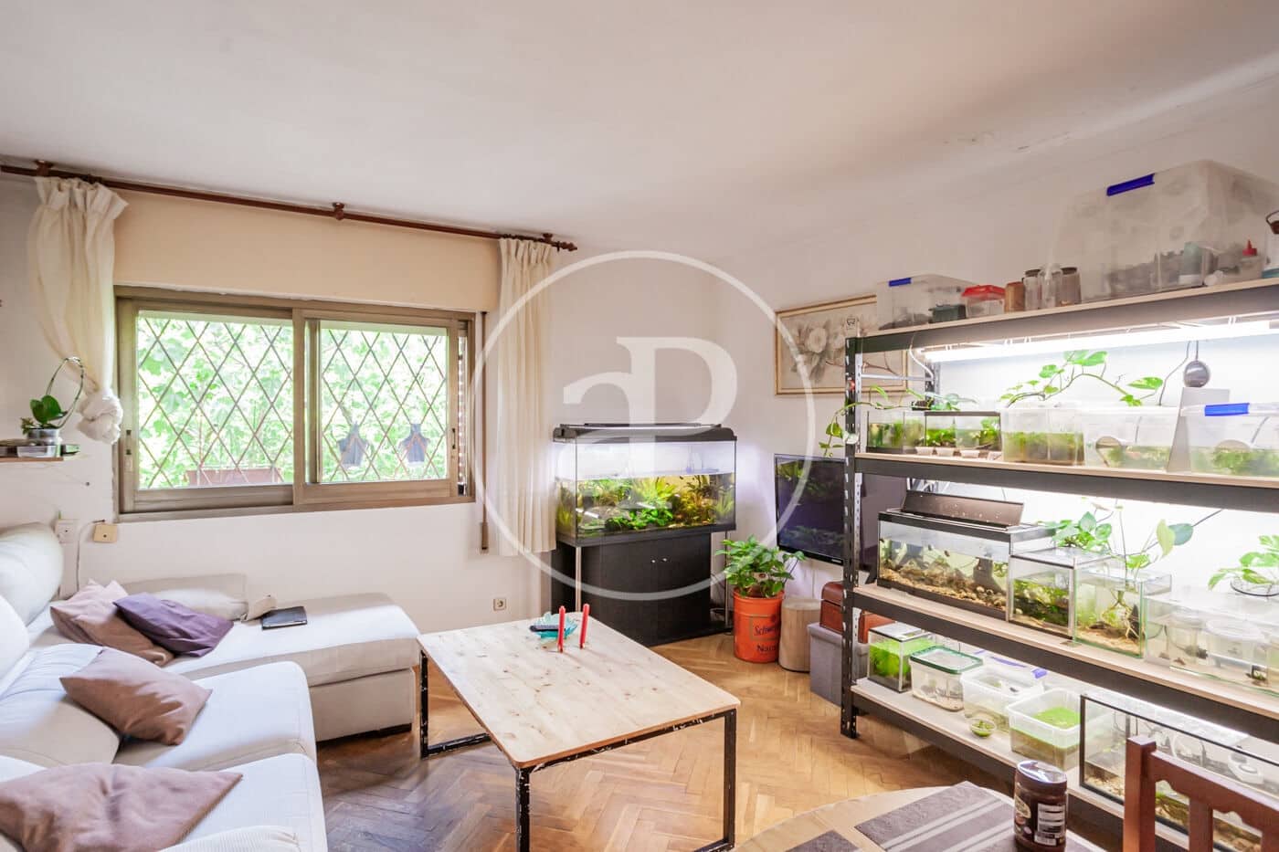 5 soveværelse Villa til salg i Madrid by - € 1.845.000 (Ref: 8332527)