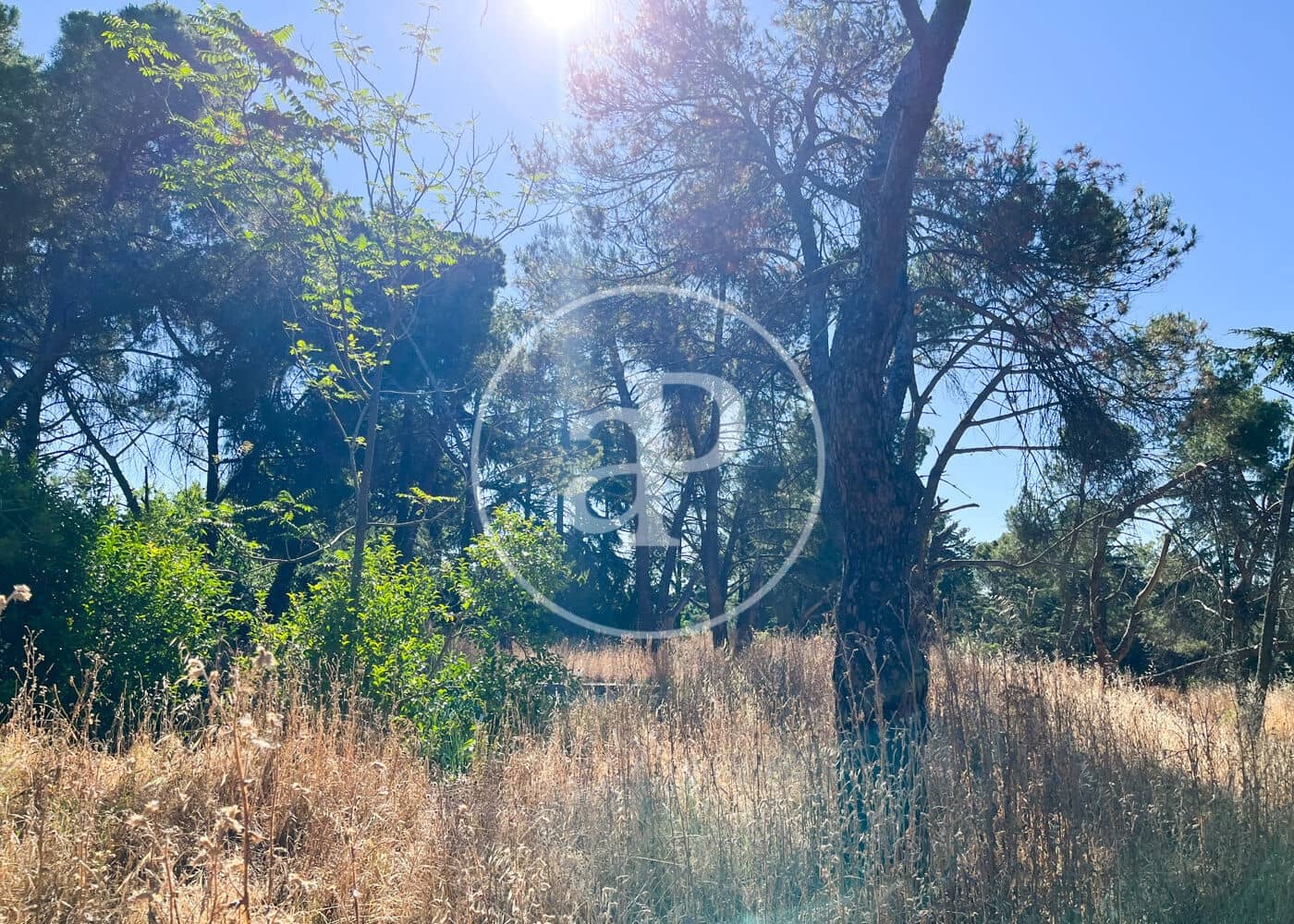 Grunde uden byggetilladelser til salg i Madrid by - € 1.900.000 (Ref: 8615645)