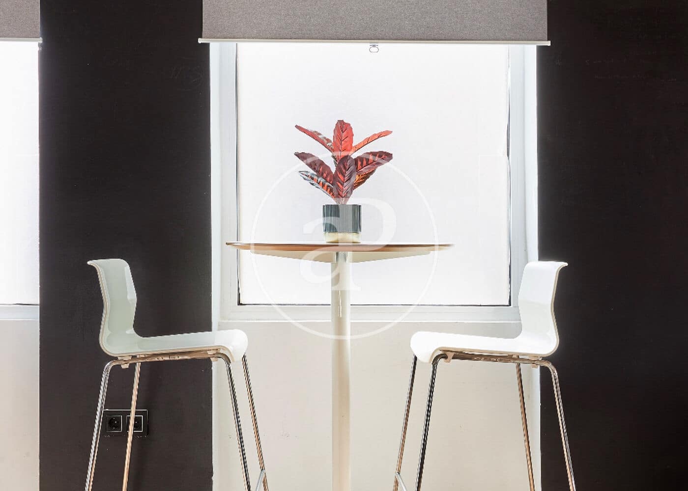 1 soverom Villa til leie i Madrid by - € 1 700 (Ref: 8726295)