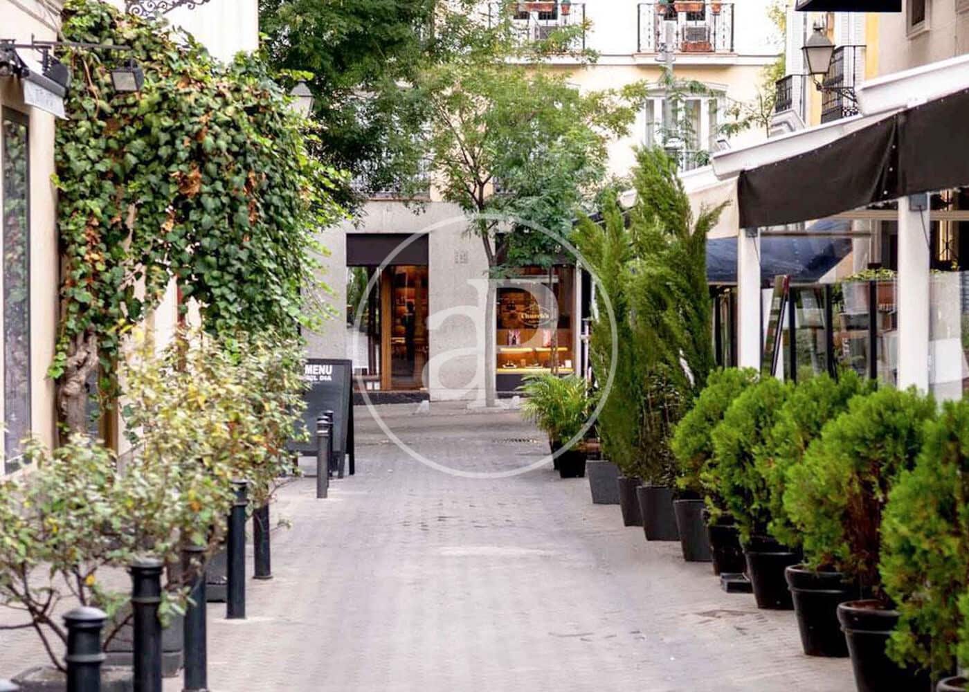 Appartement de 2 chambres à louer à Madrid ville - 4 500 € (Ref: 8825283)