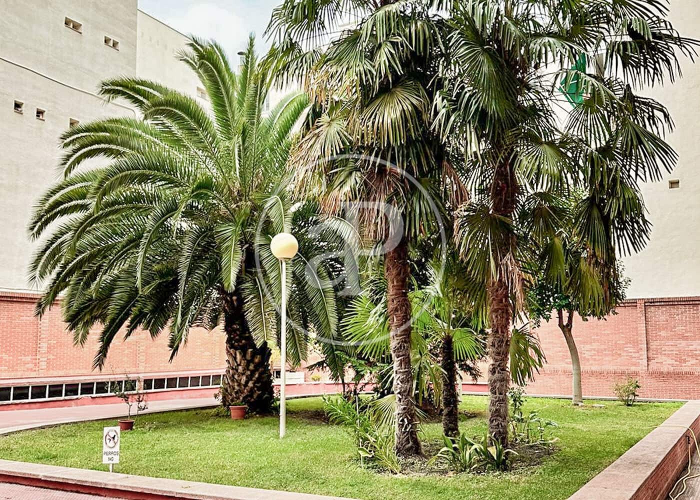 2 bedroom Apartment for rent in Madrid city - € 3,900 (Ref: 8834754)