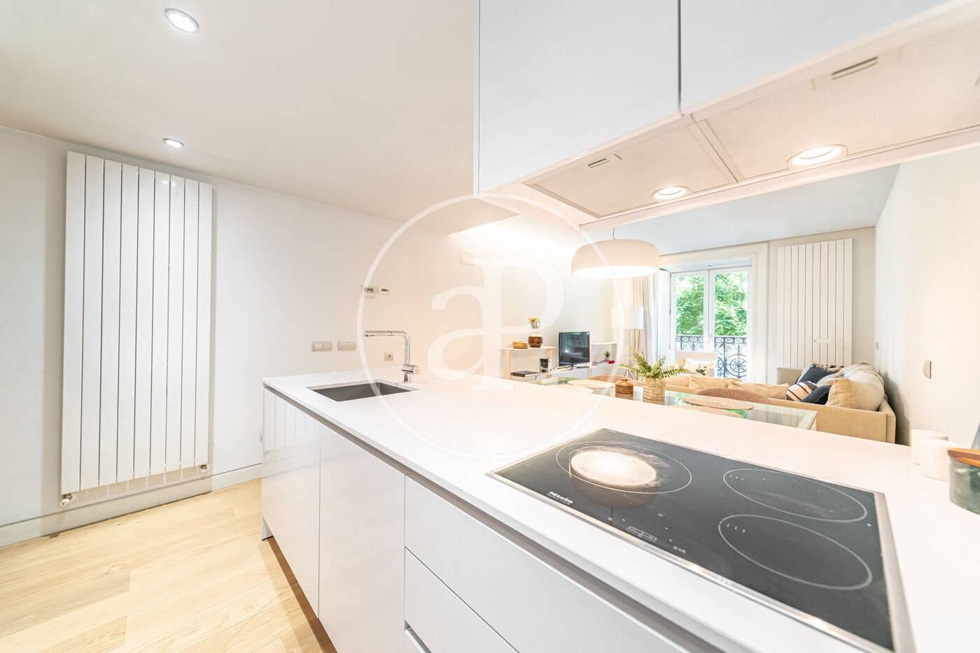 1 soverom Leilighet til leie i Madrid by - € 2 900 (Ref: 9031472)