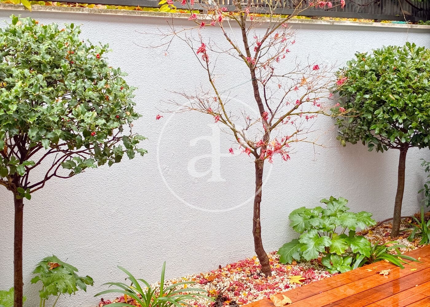 5 soveværelse Villa til leje i Madrid by - € 7.500 (Ref: 9036973)