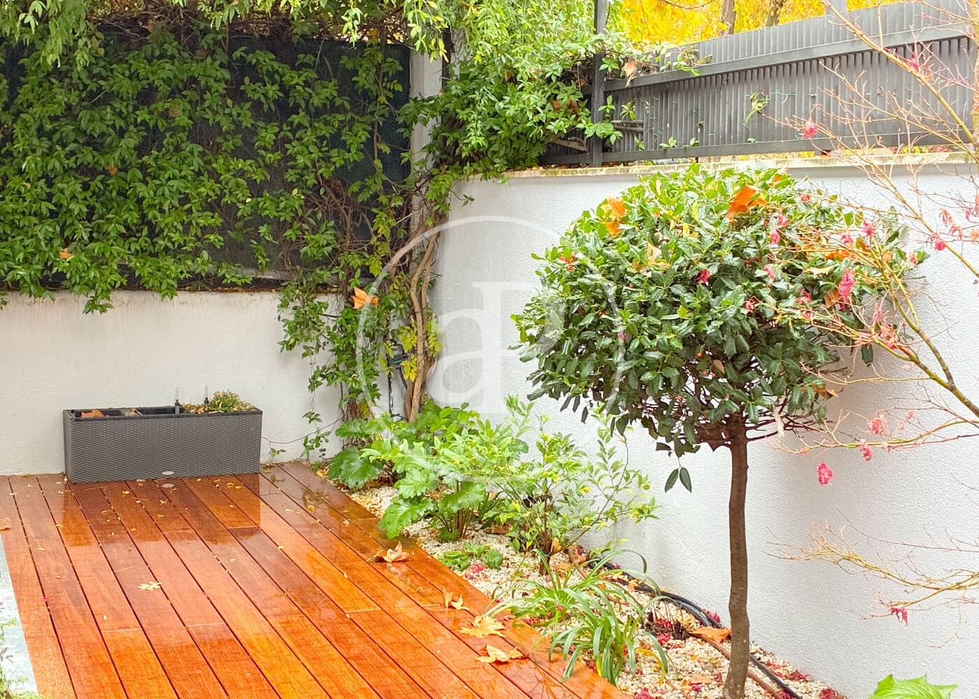 5 soveværelse Villa til leje i Madrid by - € 7.500 (Ref: 9036973)