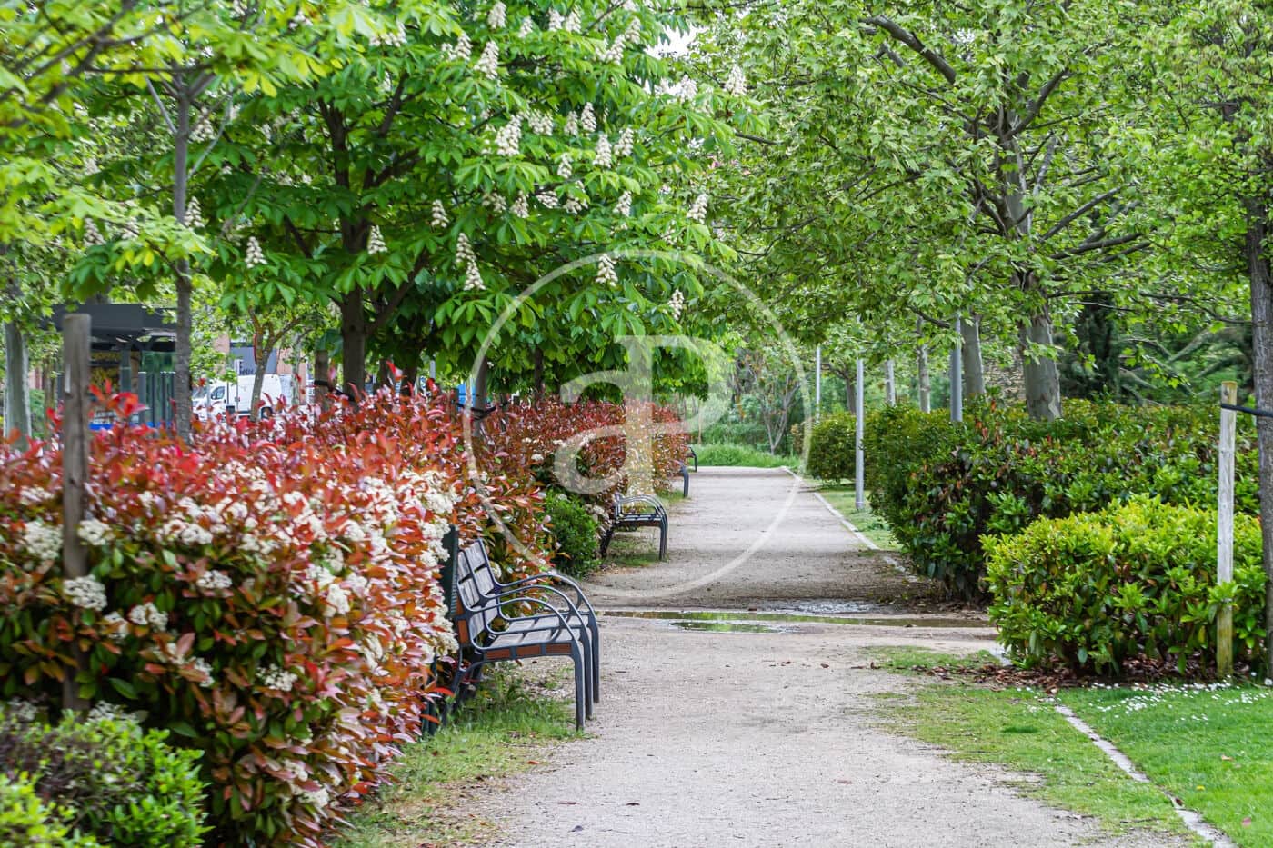 1 soveværelse Lejlighed til salg i Madrid by - € 299.000 (Ref: 9344784)