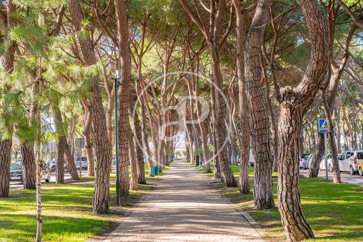 7 bedroom Villa for sale in La Moraleja with pool - € 10,000,000 (Ref: 9410977)