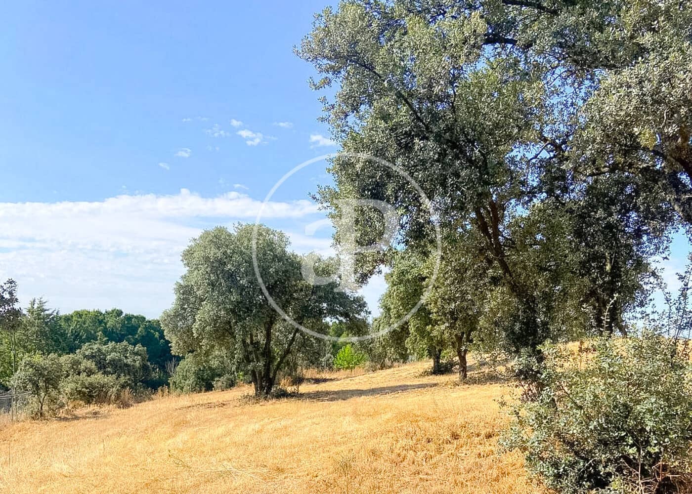 Terreno/Finca Rústica en San Sebastián de los Reyes en venta - 1.250.000 € (Ref: 9468495)