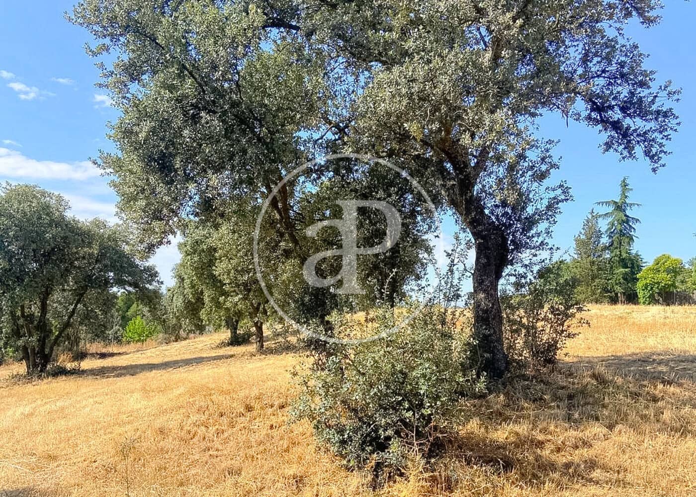 Terreno/Finca Rústica en San Sebastián de los Reyes en venta - 1.250.000 € (Ref: 9468495)