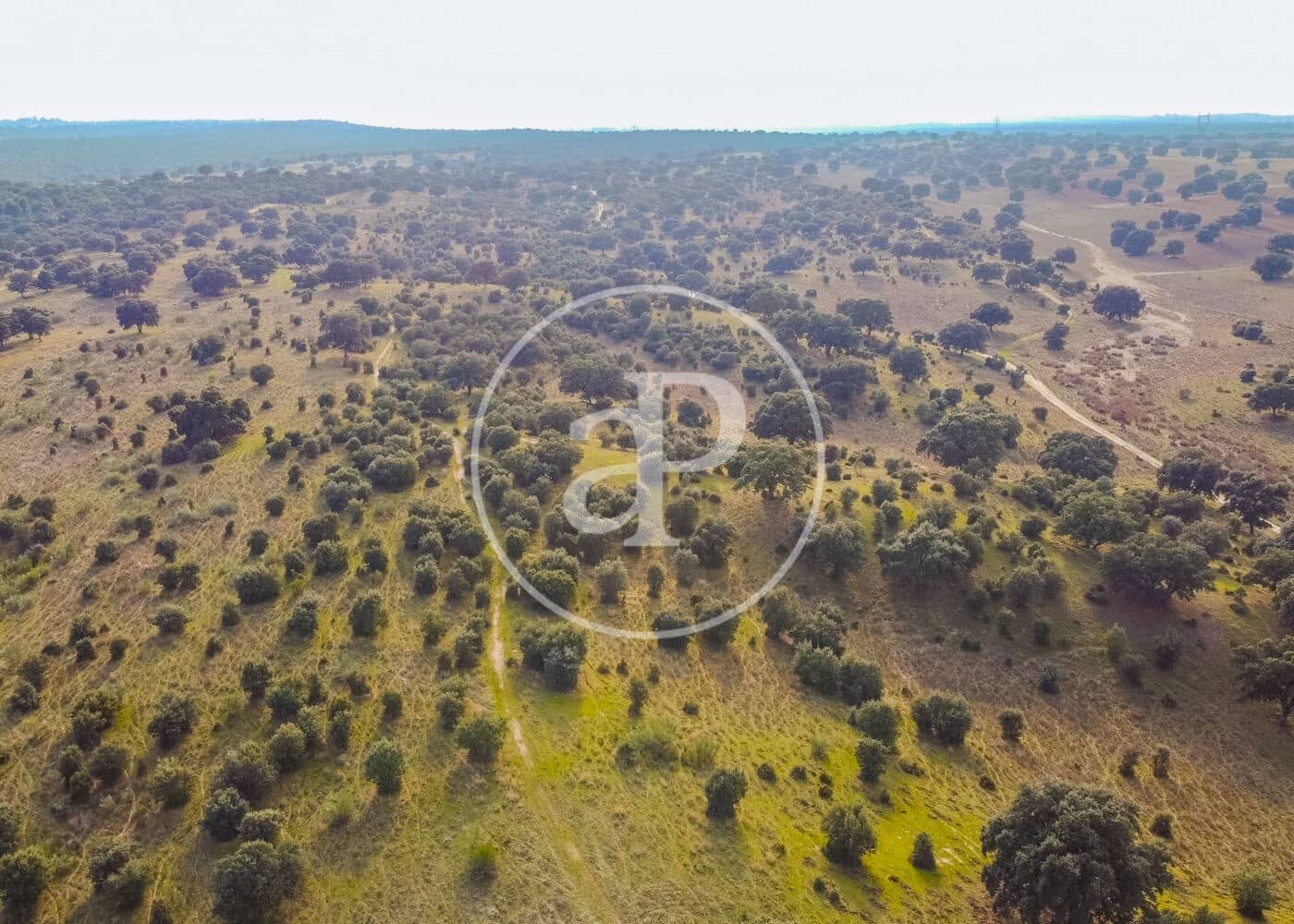 Undeveloped Land for sale in San Agustin del Guadalix - € 3,135,000 (Ref: 9470385)