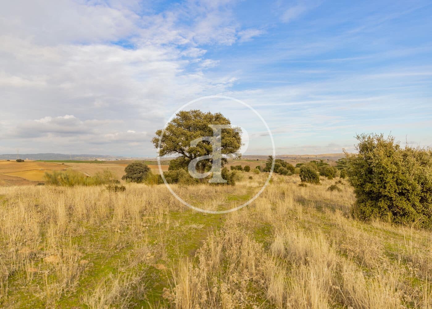 Undeveloped Land for sale in San Agustin del Guadalix - € 3,135,000 (Ref: 9470385)