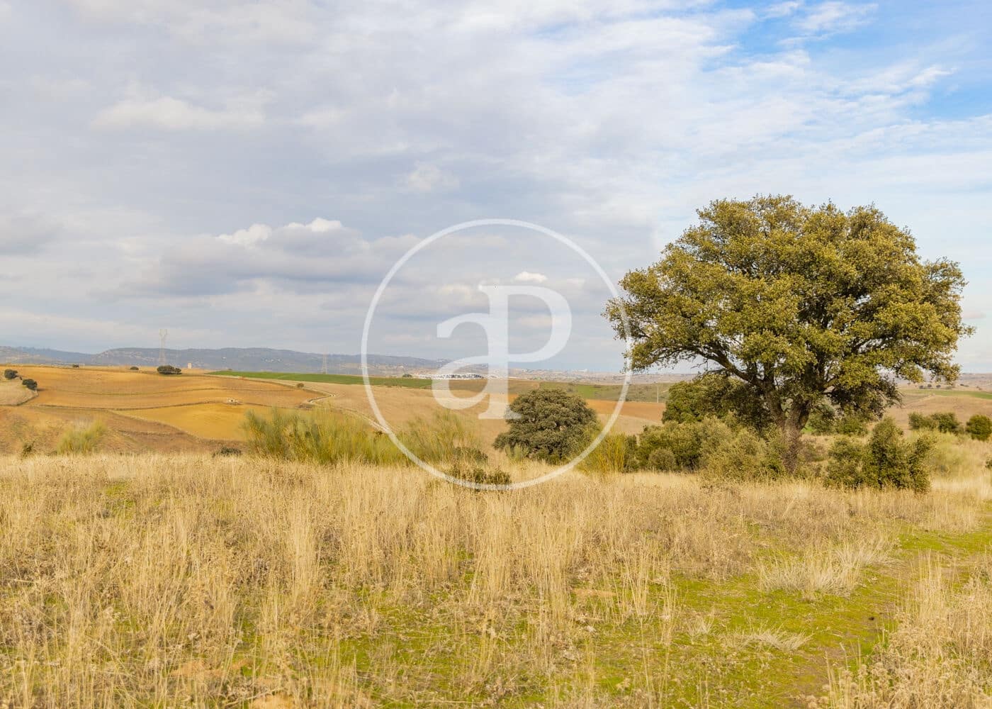 Undeveloped Land for sale in San Agustin del Guadalix - € 3,135,000 (Ref: 9470385)
