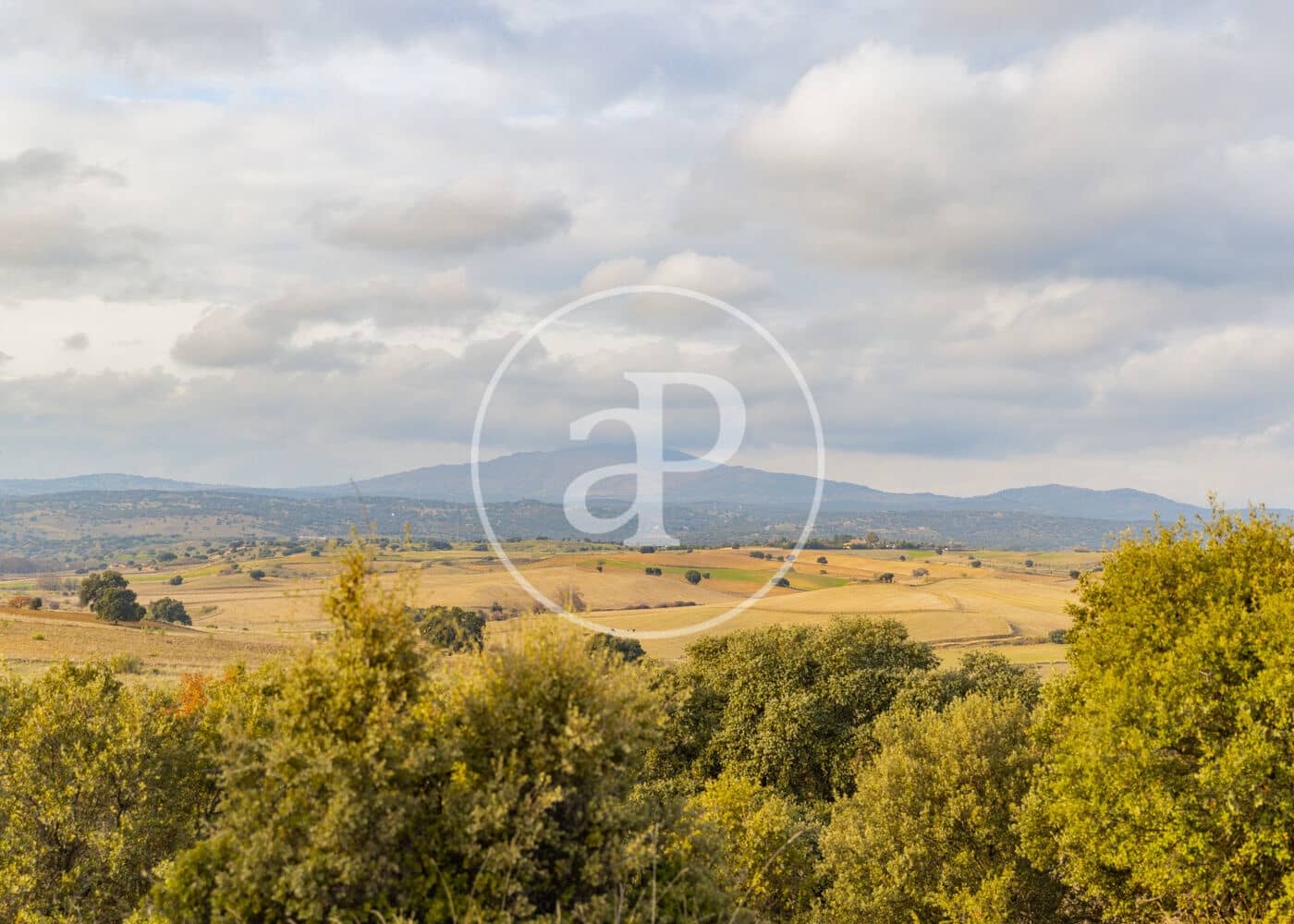 Undeveloped Land for sale in San Agustin del Guadalix - € 3,135,000 (Ref: 9470385)