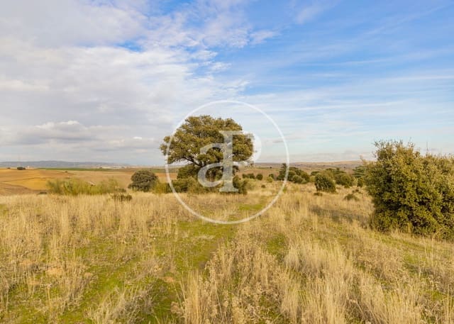 Terreno/Finca Rústica en San Agustín del Guadalix en venta - 3.135.000 € (Ref: 9470385)