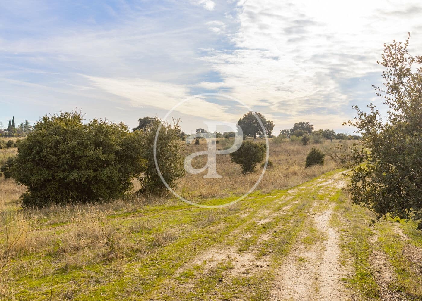 Undeveloped Land for sale in San Agustin del Guadalix - € 3,135,000 (Ref: 9470385)