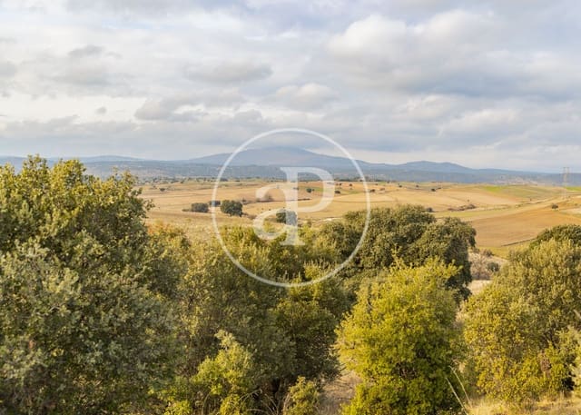 Terreno/Finca Rústica en San Agustín del Guadalix en venta - 3.135.000 € (Ref: 9470385)