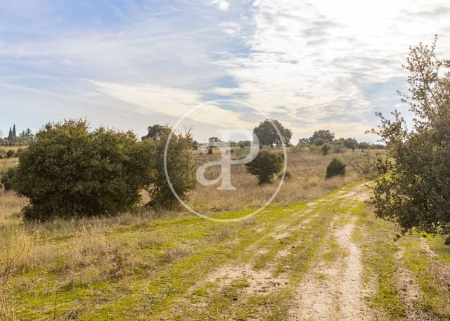 Terreno/Finca Rústica en San Agustín del Guadalix en venta - 3.135.000 € (Ref: 9470385)