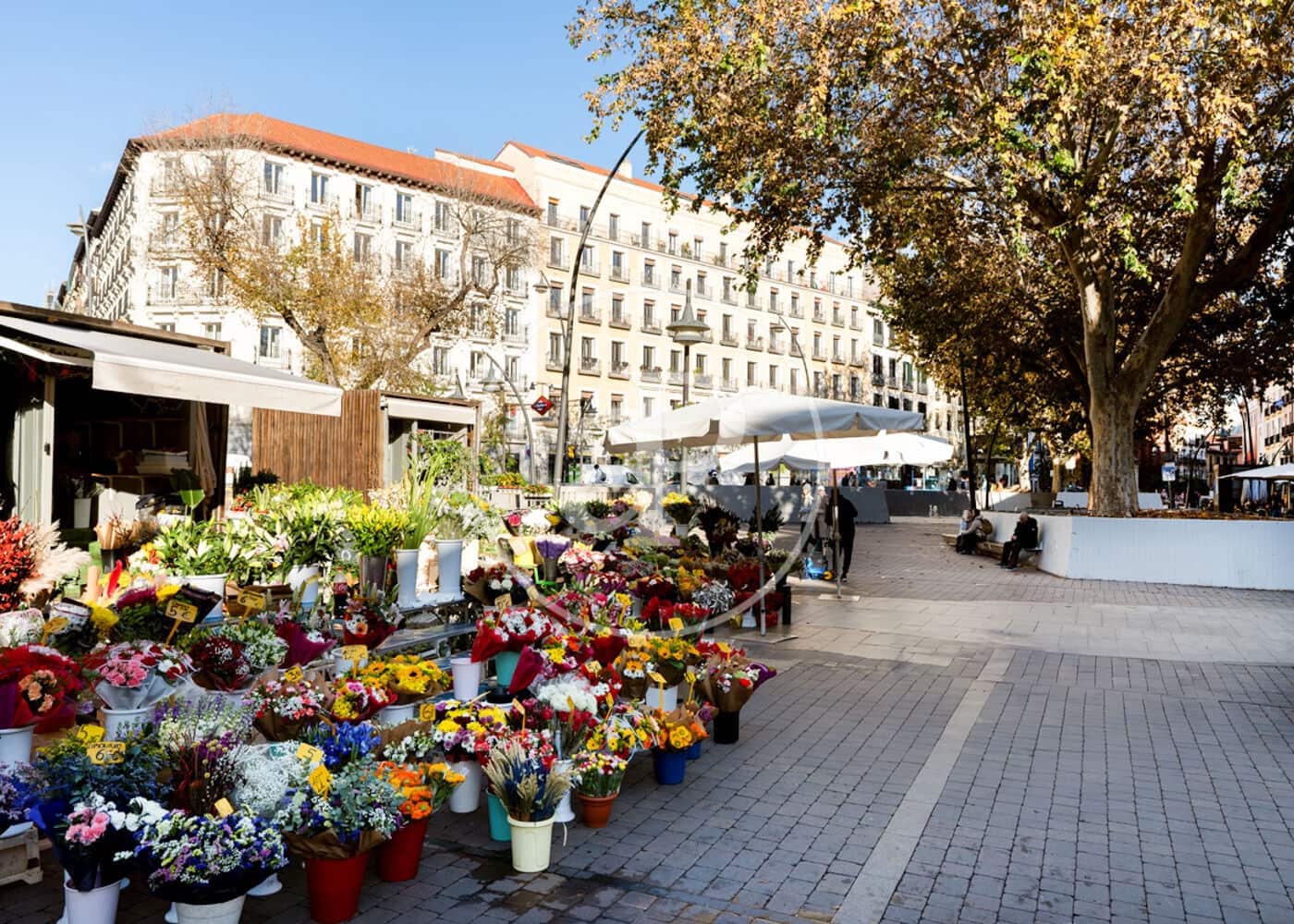 3 soverom Leilighet til leie i Madrid by - € 6 150 (Ref: 9596142)