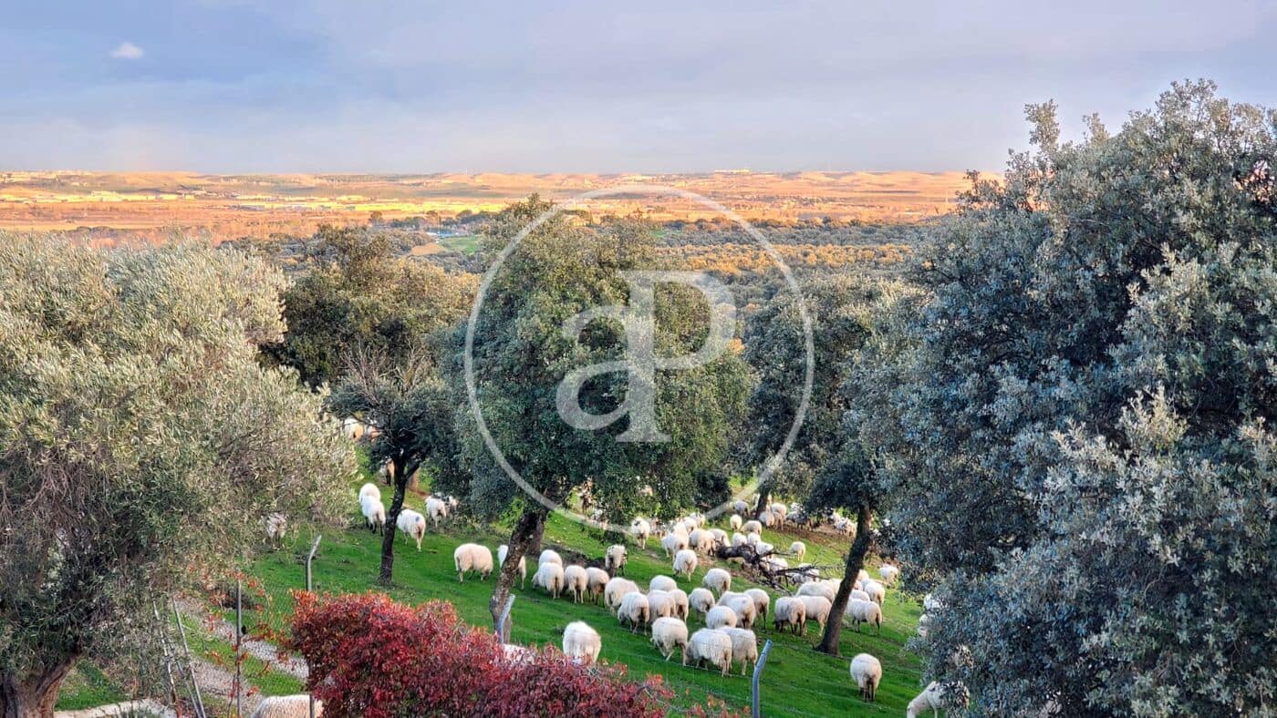 6 slaapkamer Villa te koop in San Sebastian de los Reyes met zwembad - € 1.700.000 (Ref: 9659452)