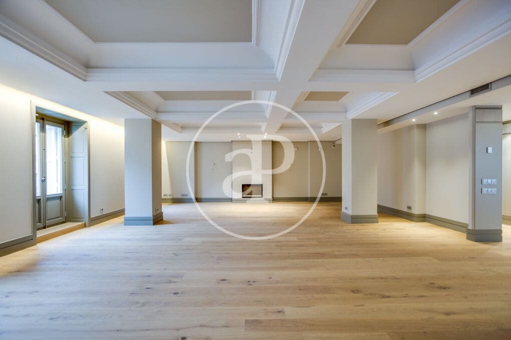 1 bedroom Apartment for rent in Madrid city - € 9,000 (Ref: 9695360)