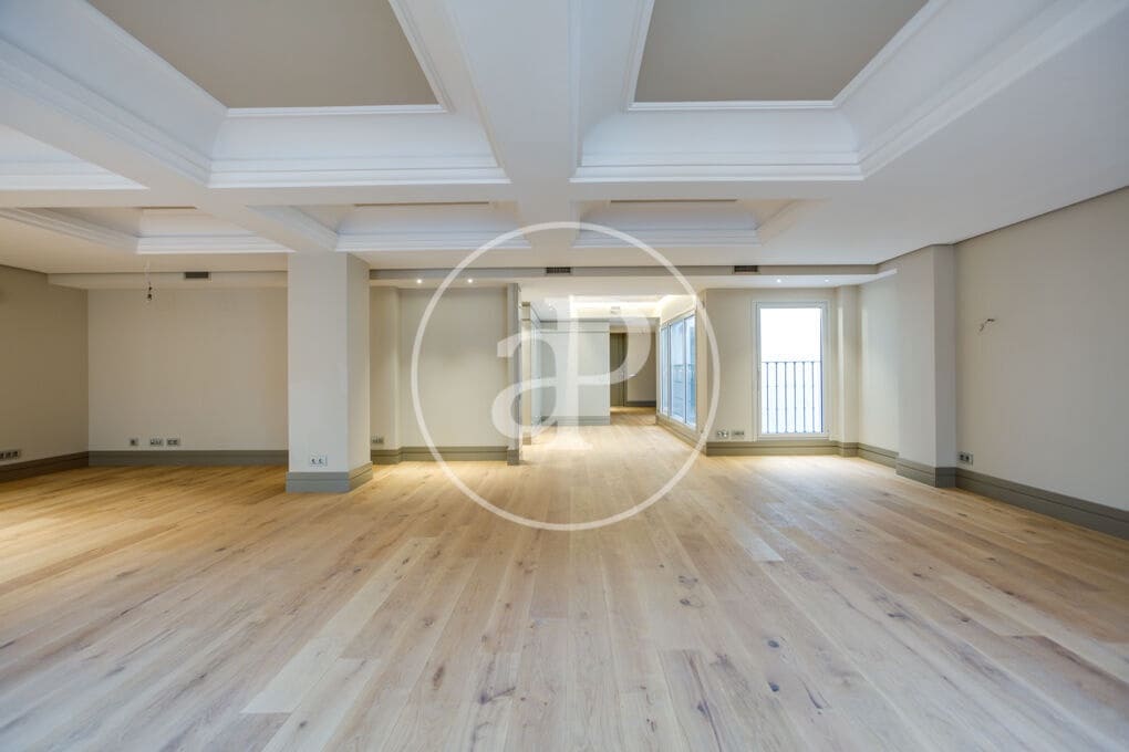 1 bedroom Apartment for rent in Madrid city - € 9,000 (Ref: 9695360)