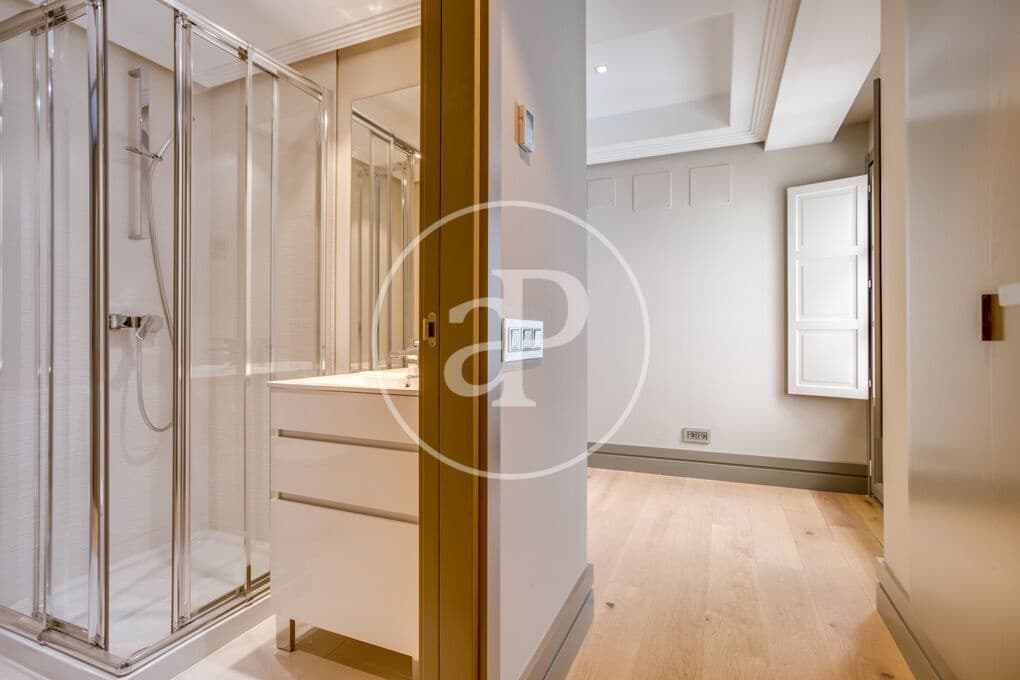 1 bedroom Apartment for rent in Madrid city - € 9,000 (Ref: 9695360)